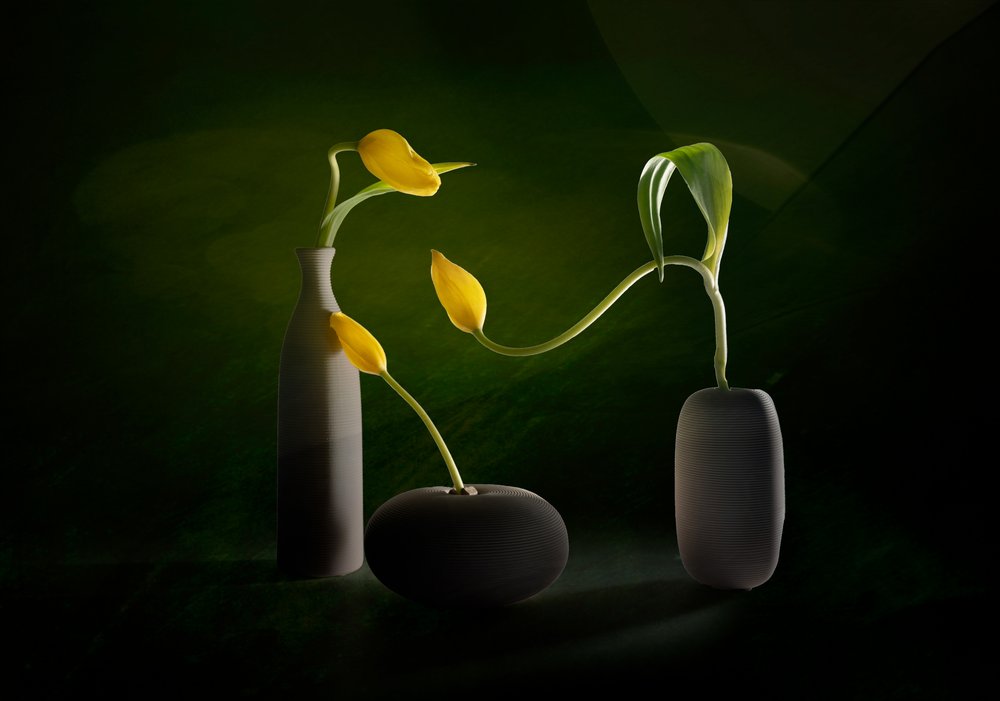Groene en gele bloemenvazen door John-Mei Zhong