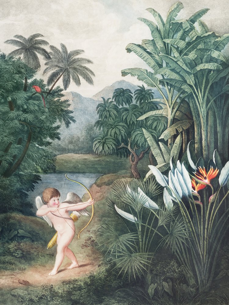 Cupido inspireert planten met liefde, uit de Tempel van Flora (1807) door Robert John Thornton door John Thornton