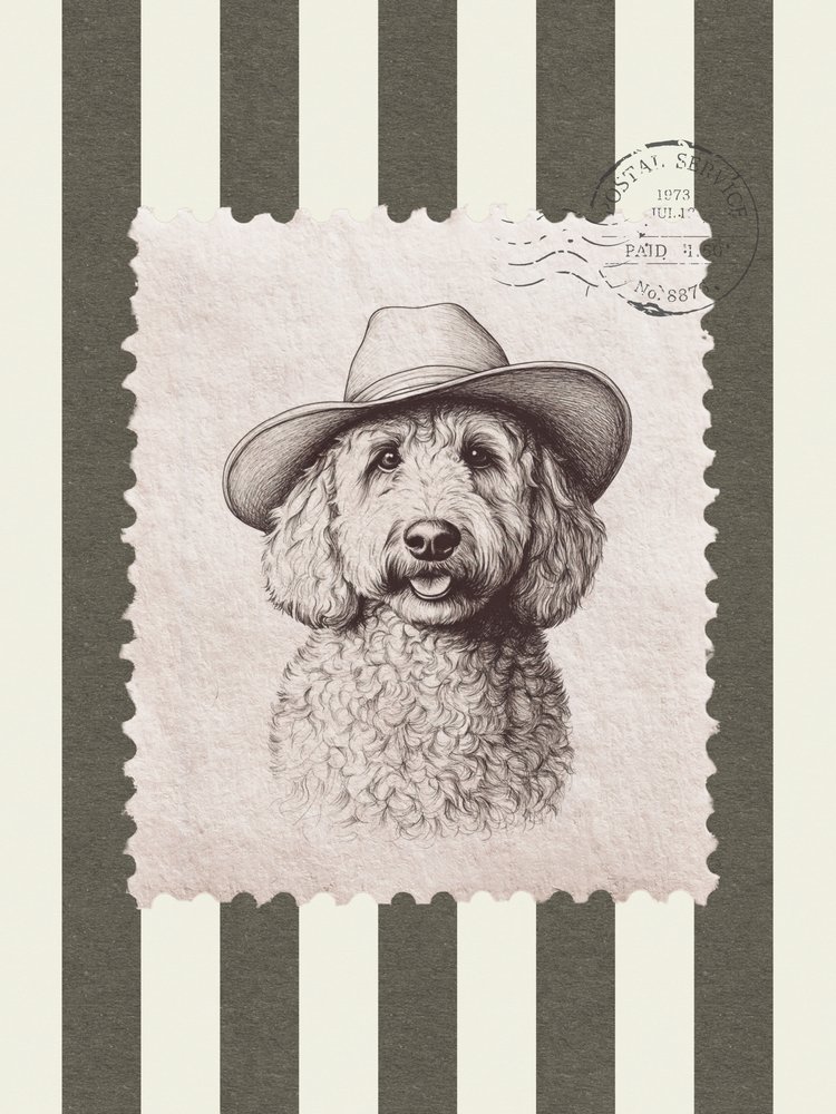 Goldendoodle-cowboyhoed door Jolly and Dash