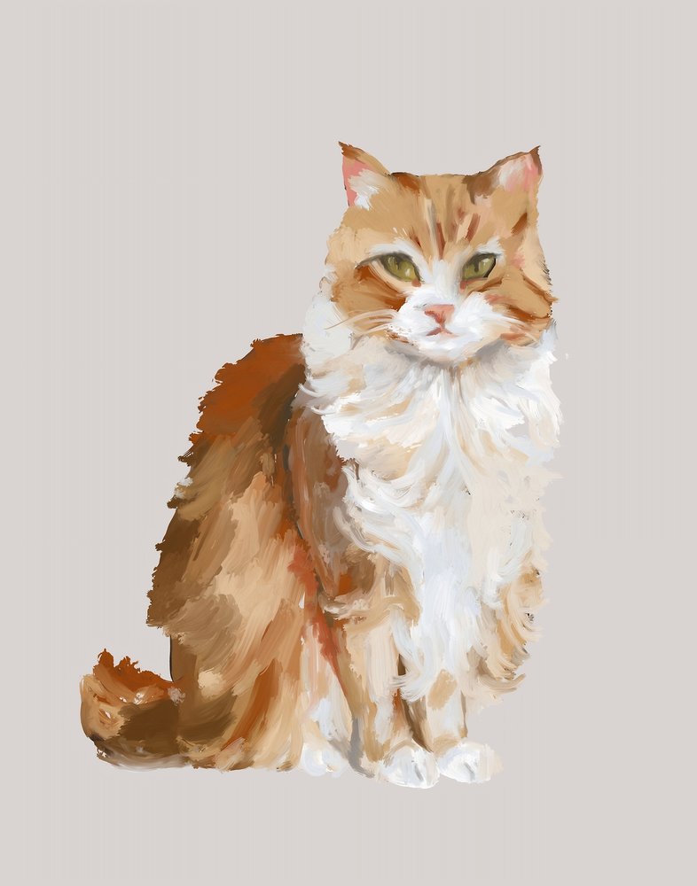 Portret van een pluizige gemberkleurige kat door Josie George