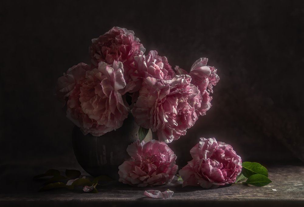 Donkerroze pioenrozen door Judy Tseng