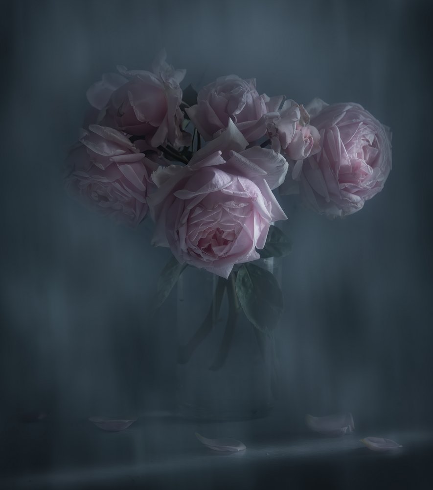 Stemmige roze rozen door Judy Tseng