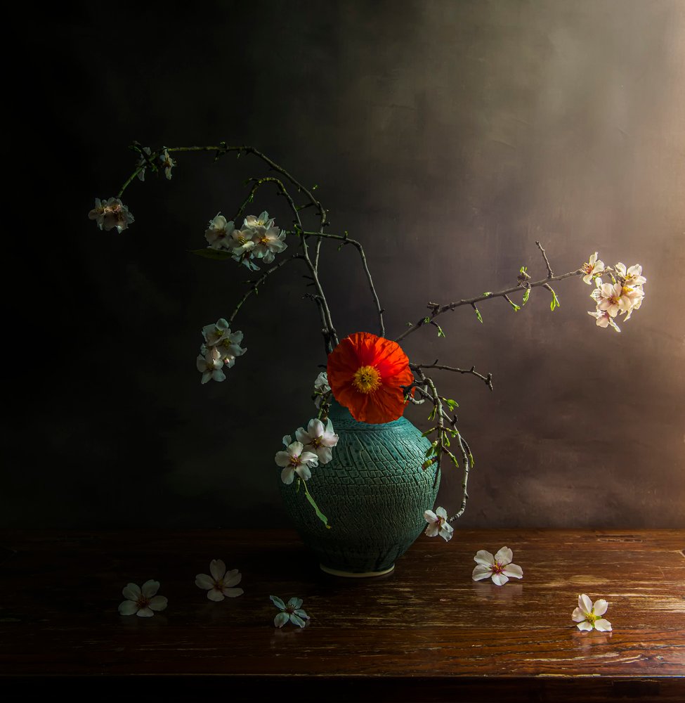 Stemmige papaverbloesems door Judy Tseng