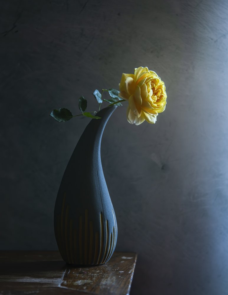 Moody Yellow Rose door Judy Tseng
