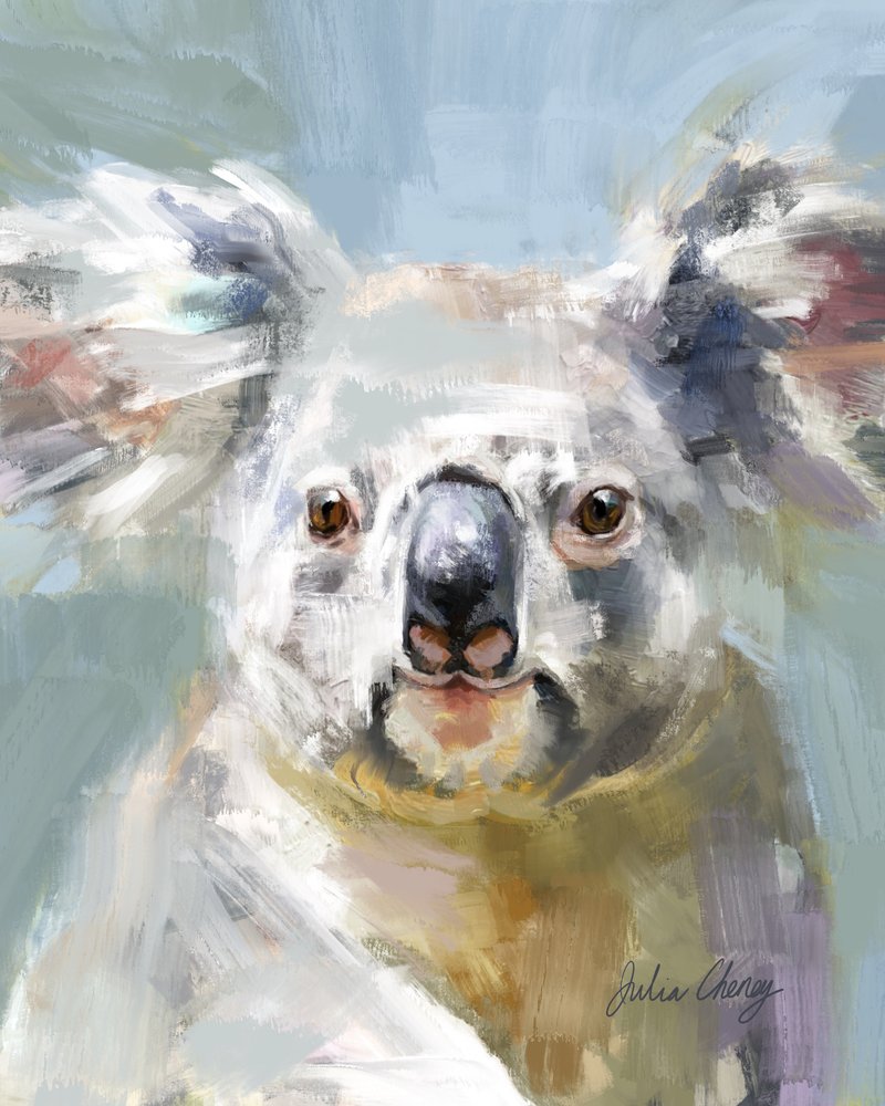 De zachte blik van de koala door Julia Cheney
