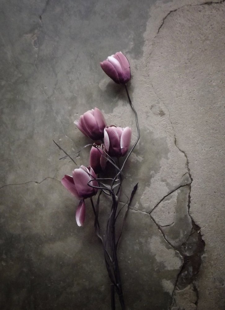 Sombere betonnen bloemen door Kahar Lagaa