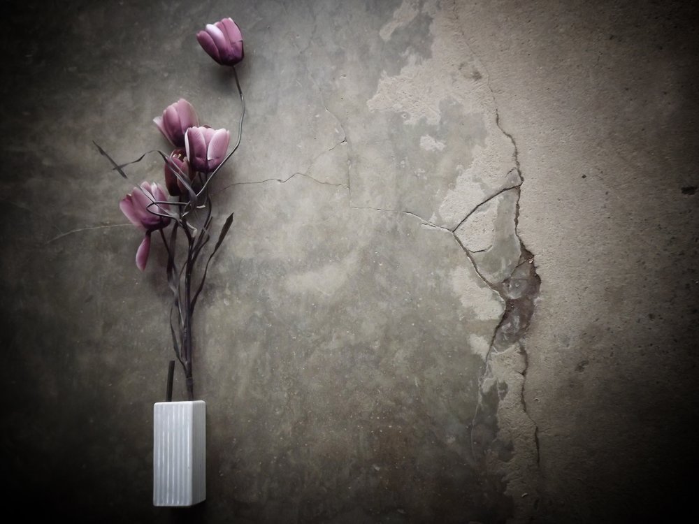 Sombere paarse bloemen op beton door Kahar Lagaa