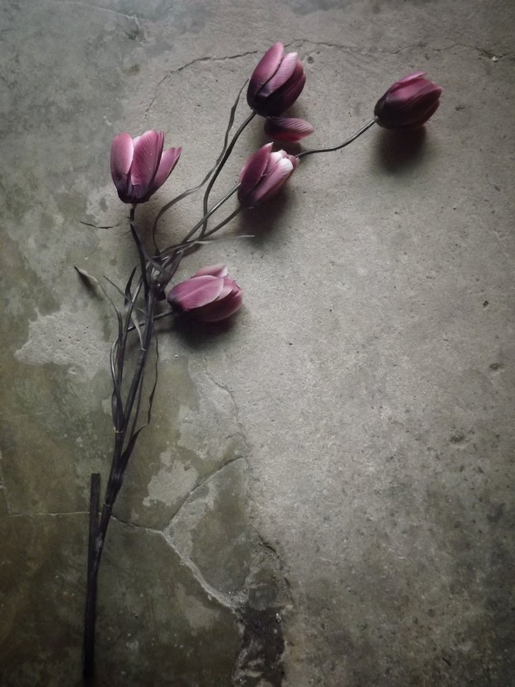 Paarse tulpen op beton door Kahar Lagaa