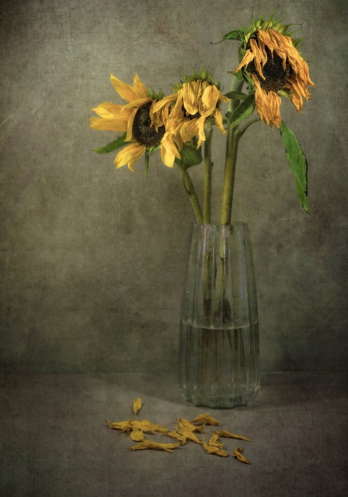Melancholische zonnebloemen in bloei door Karen Smalley