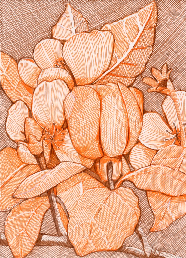 Gearceerde oranje bloesems door Katie O'Shea