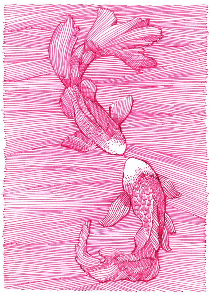 Dans van roze koi door Katie O'Shea