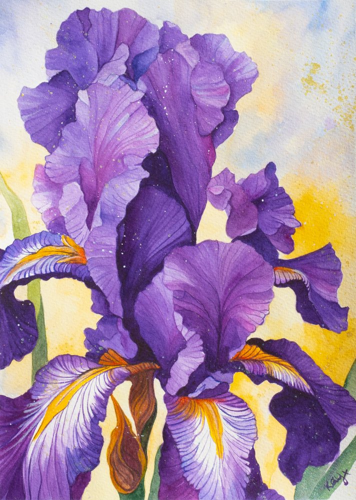 Levendige paarse iris door Kay Shanley
