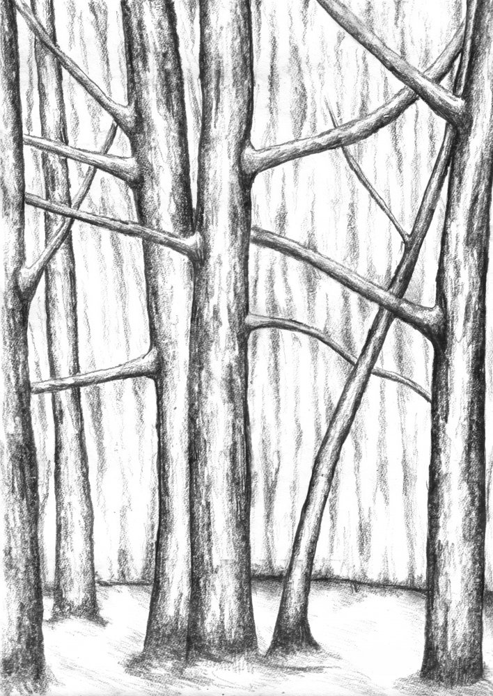  door Kulik