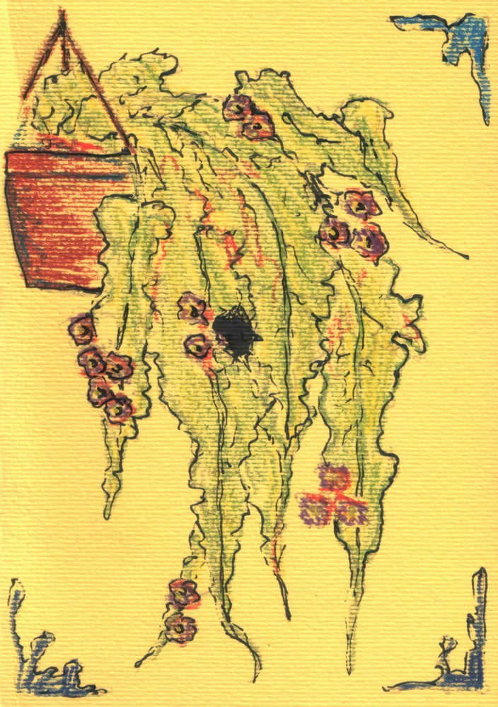  door Kulik