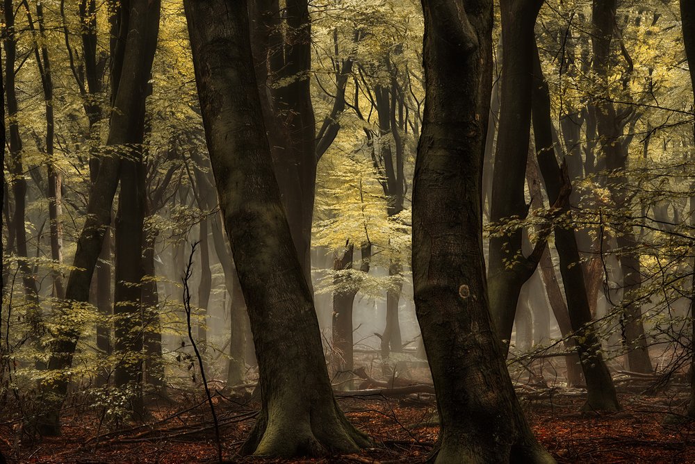  door Lars van de Goor †