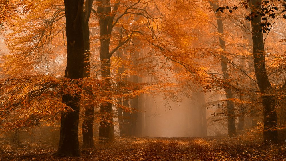  door Lars van de Goor †