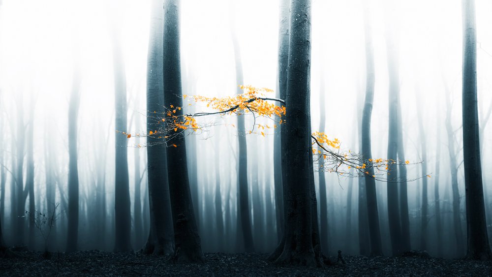  door Lars van de Goor †