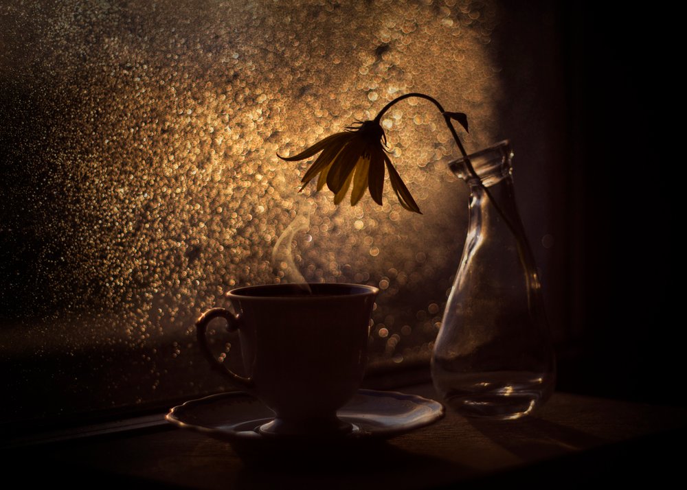 Golden Light-koffiebloem door Lenka