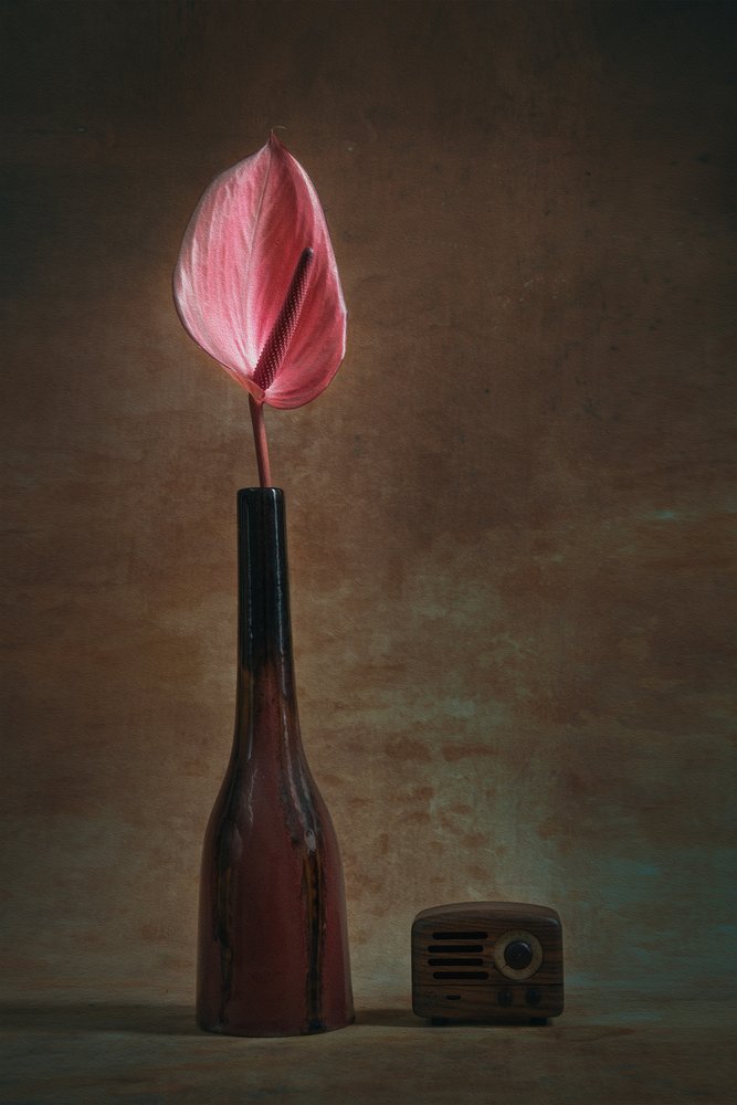 Elegant Anthurium en Radio door Liu Xing