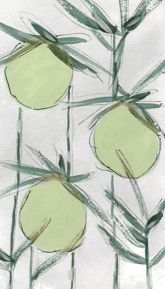 Verse groene planten door Lori Ann Folz