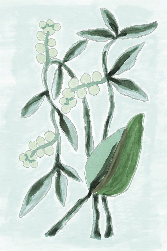 Groene botanische aquarel door Lori Ann Folz