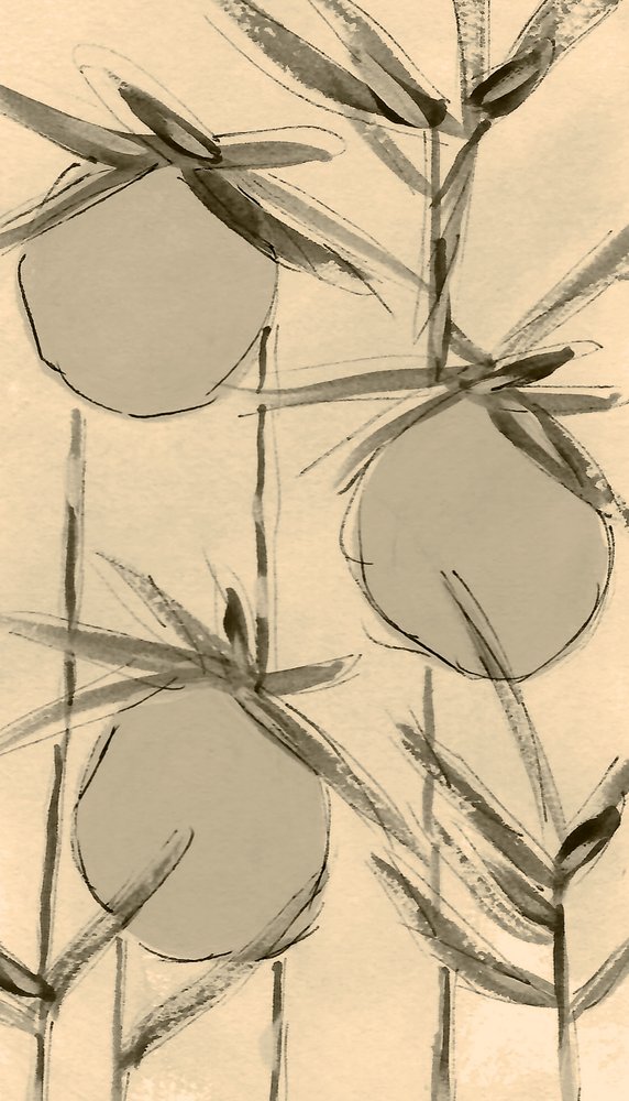 Sepia-katoenplanten door Lori Ann Folz