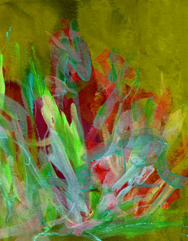  door Lori Ann Folz
