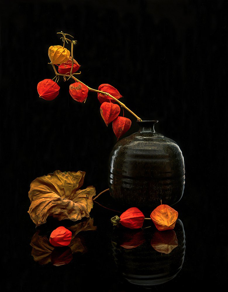 Stilleven met herfstlantaarns door Louie Luo