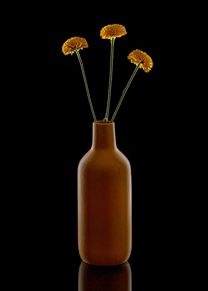 Warme bloemen in een bruine vaas door Louie Luo