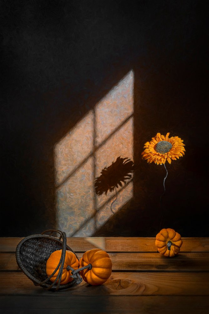 Herfstpompoenen en zonlicht door Lydia Jacobs