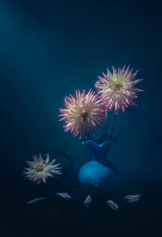Dahlia’s in een blauwe vaas door Lydia Jacobs