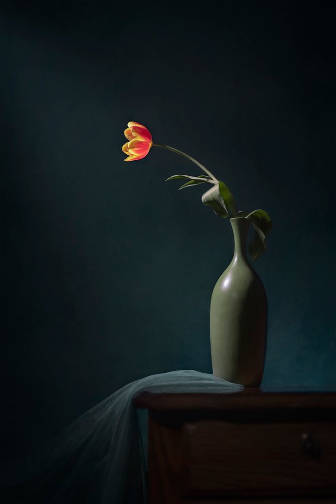 Donker bloemstilleven door Lydia Jacobs
