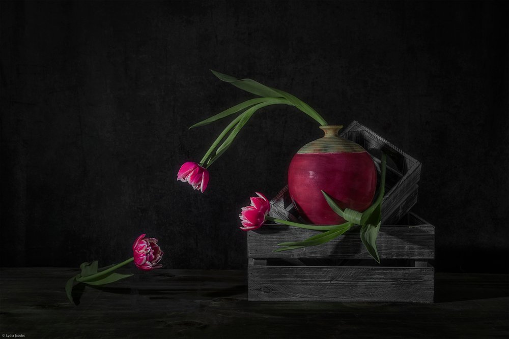 Donkere tulpen en radijs door Lydia Jacobs