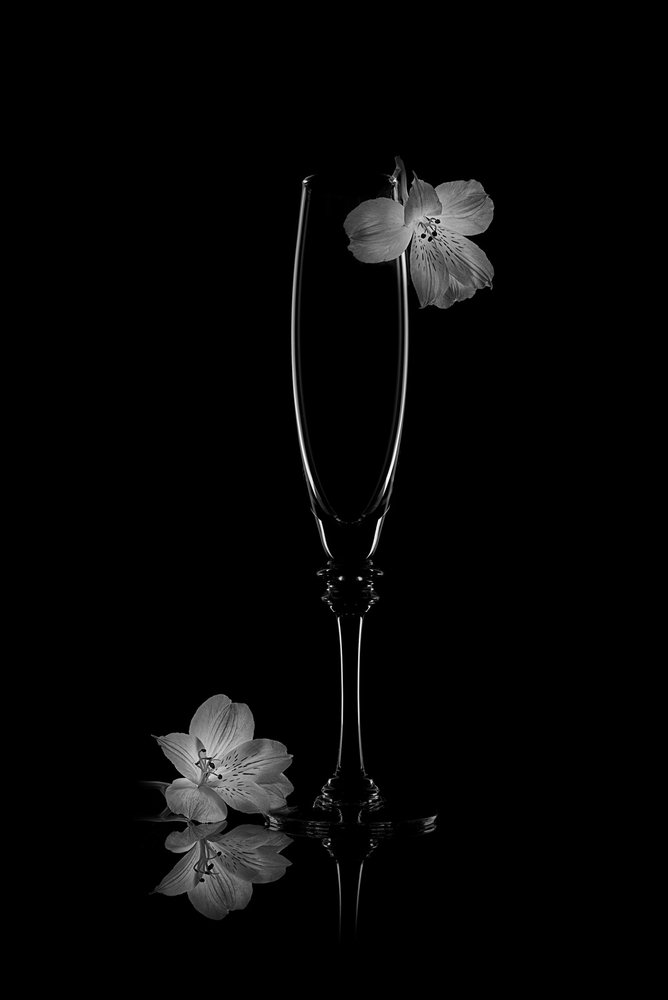 Tere bloesemweerspiegeling door Lydia Jacobs