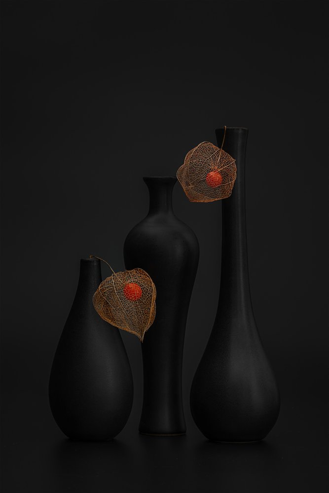 Elegante zwarte physalis (stilleven) door Lydia Jacobs