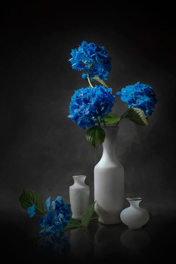 Elegante blauwe hortensia’s door Lydia Jacobs