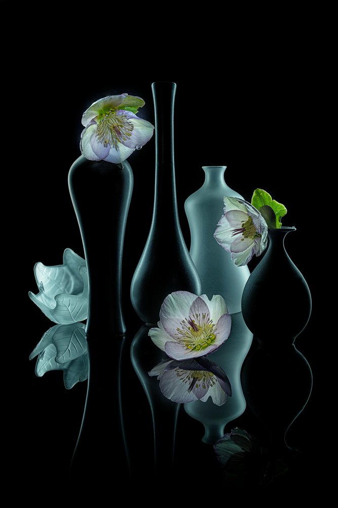 Elegante bloemengloed door Lydia Jacobs