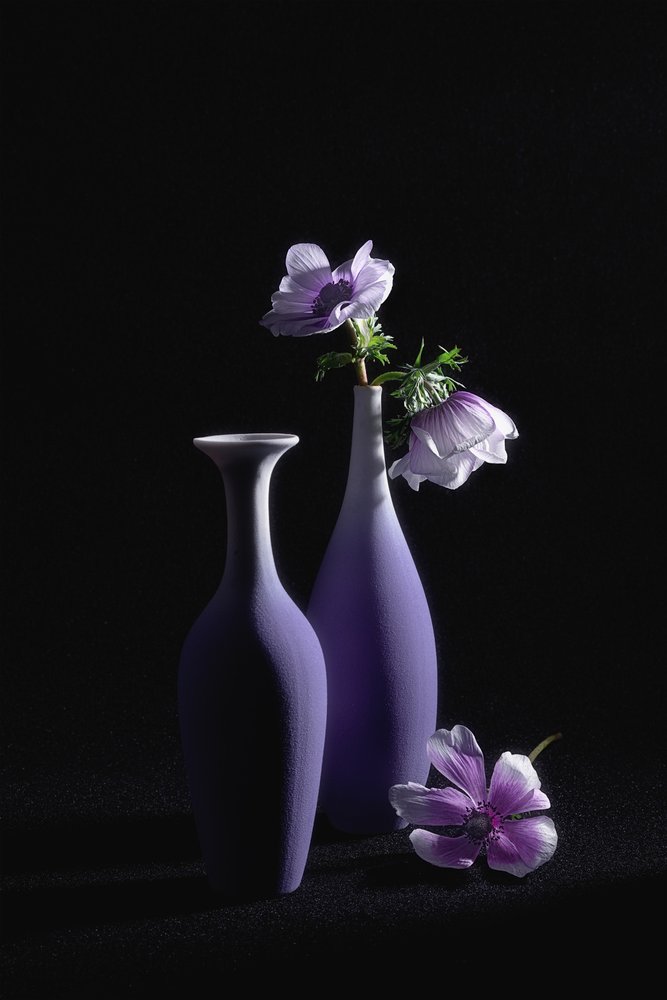 Elegante paarse anemonen door Lydia Jacobs