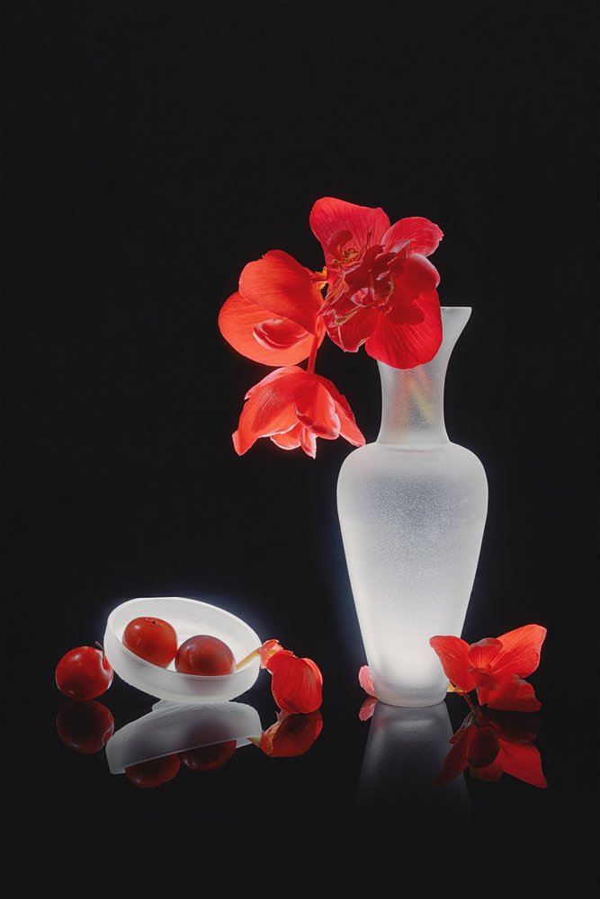 Elegant rood stilleven door Lydia Jacobs