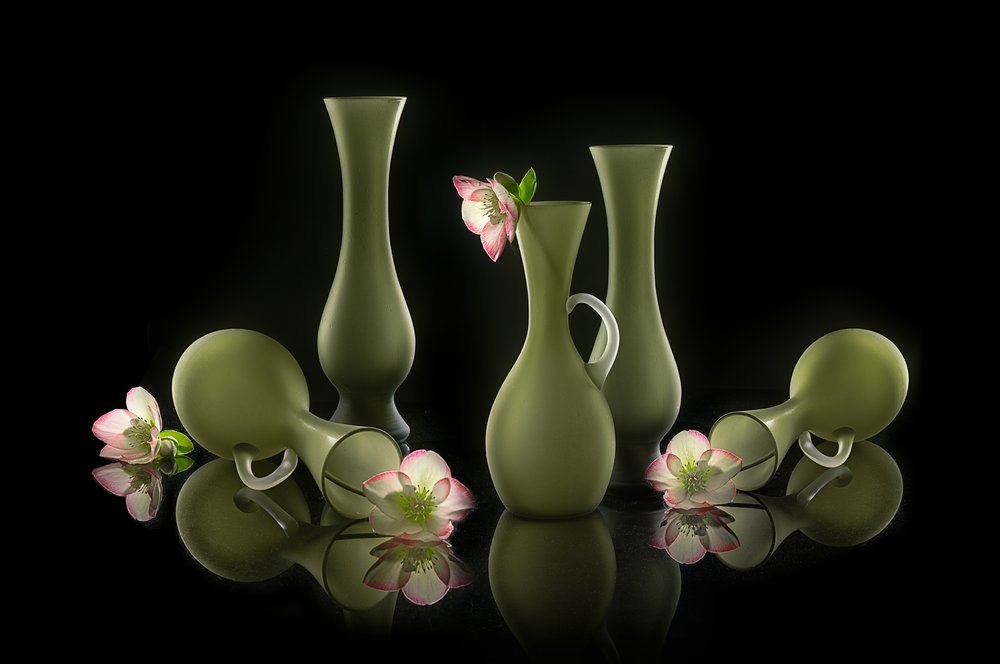 Elegante vazen en bloemen door Lydia Jacobs