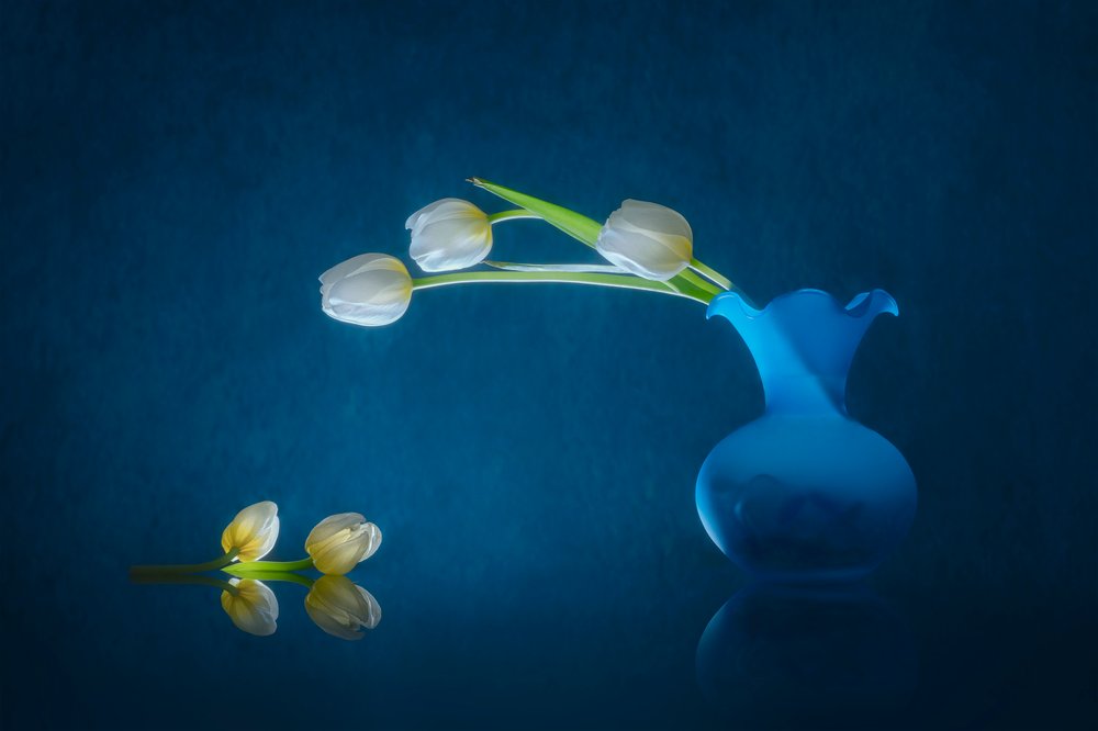 Elegante witte tulpen door Lydia Jacobs