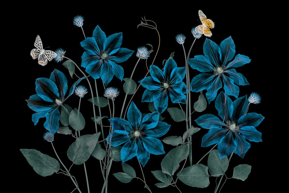 Etherische Blauwe Tuin door Lydia Jacobs