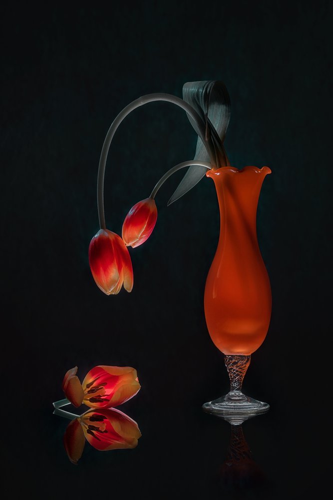 Stilleven met gloeiende tulpen door Lydia Jacobs