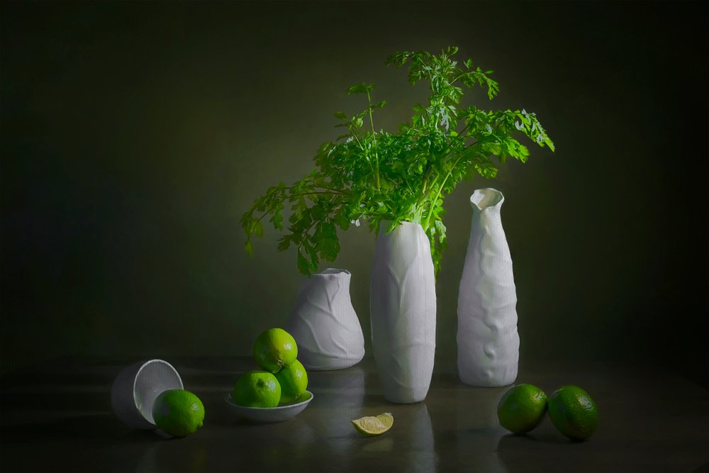 Modern stilleven met limoen door Lydia Jacobs