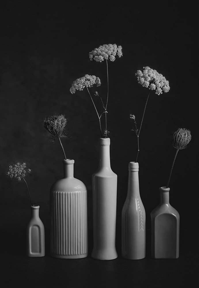 Monochroom botanisch stilleven door Lydia Jacobs