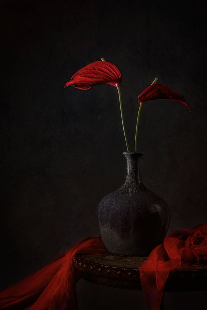Moody Red Anthuriums door Lydia Jacobs