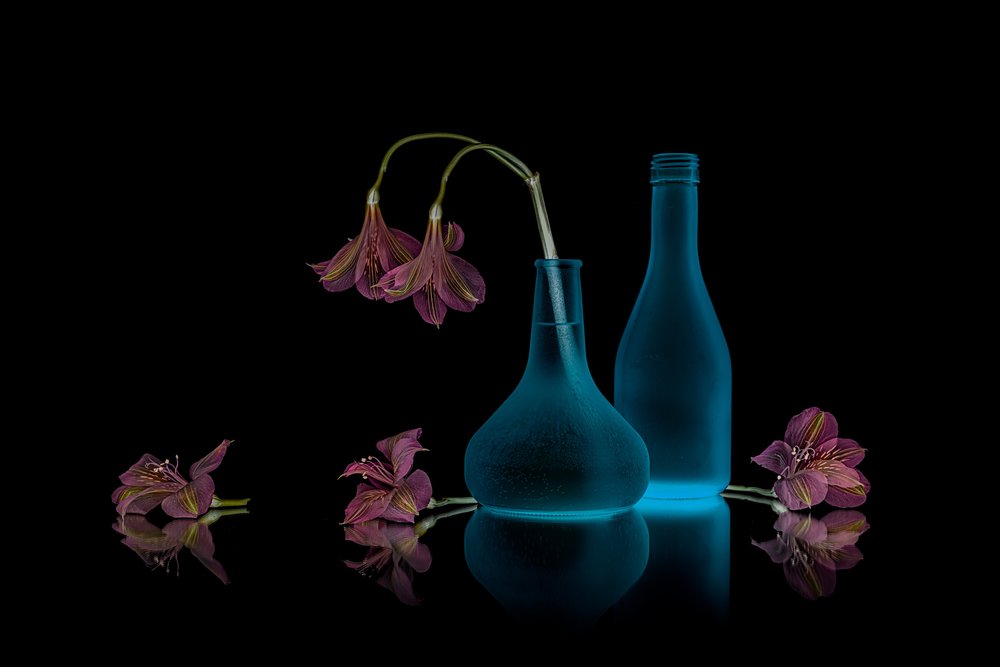 Roze bloemen, blauwe gloed door Lydia Jacobs