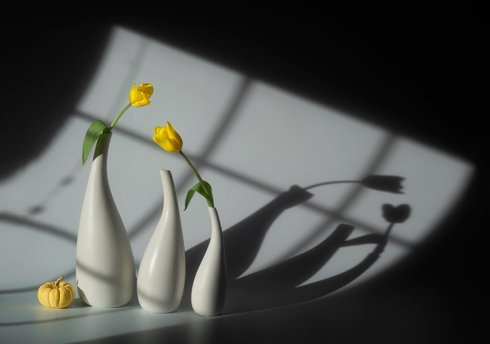 Zonovergoten tulpen en schaduwen door Lydia Jacobs