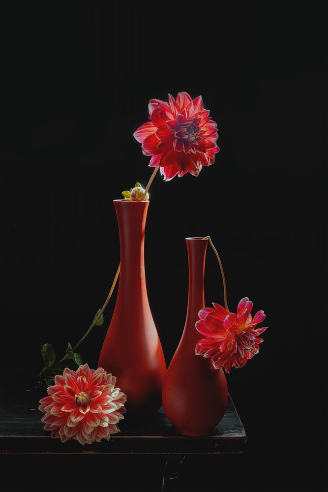 Levendig stilleven met dahlia’s door Lydia Jacobs