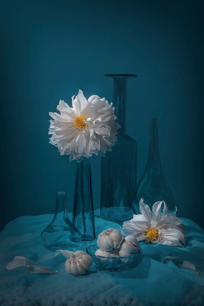Stilleven met witte dahlia’s door Lydia Jacobs